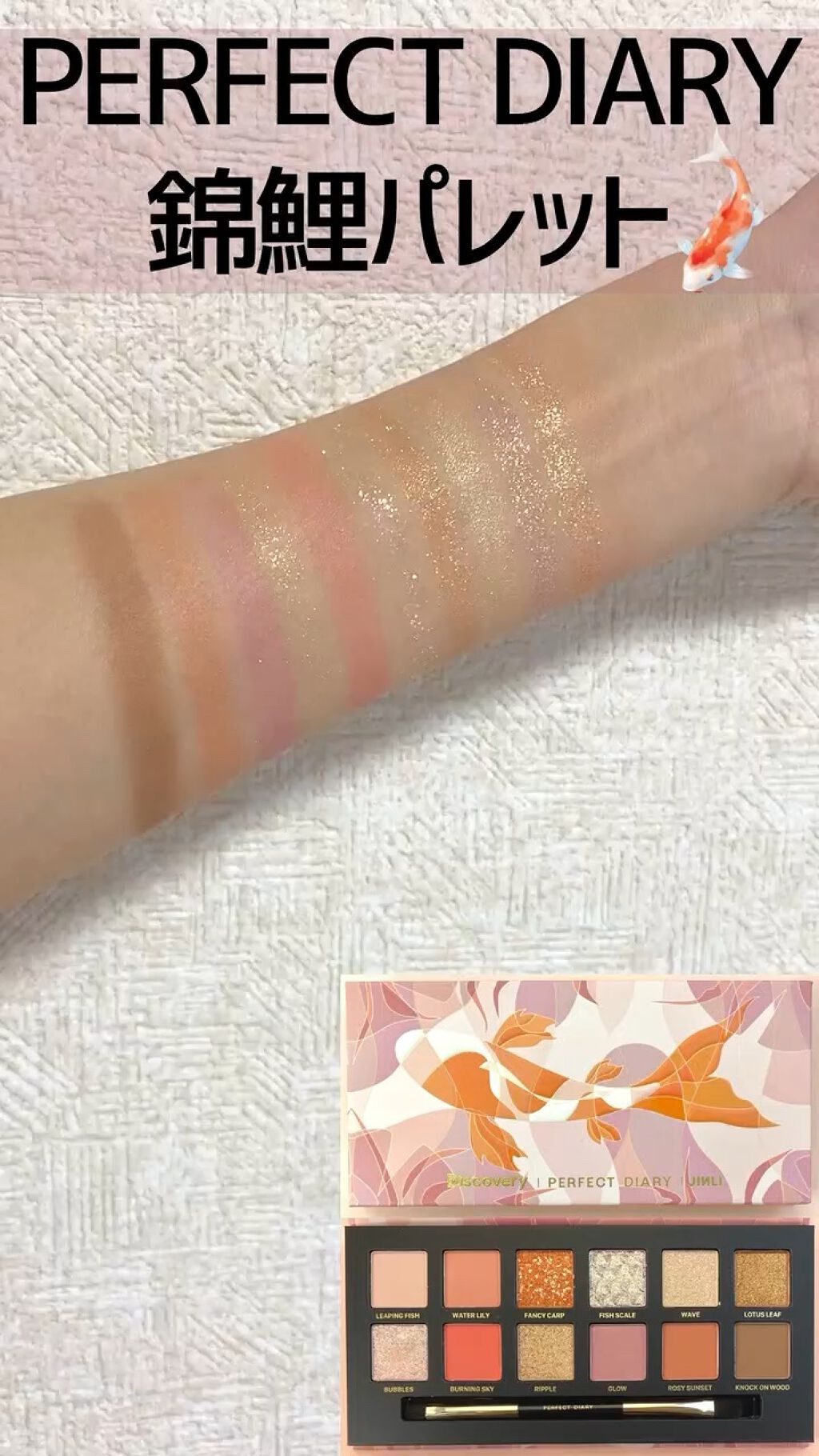 エクスプローラ12色 動物アイシャドウパレット/PERFECT DIARY/アイシャドウパレットの動画クチコミ2つ目