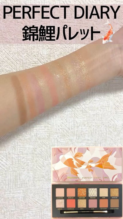エクスプローラ12色 動物アイシャドウパレット/PERFECT DIARY/アイシャドウパレットの人気ショート動画