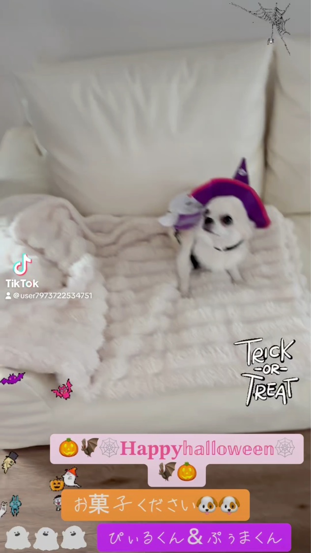 ヴェルニ/CHANEL/マニキュアの動画クチコミ3つ目