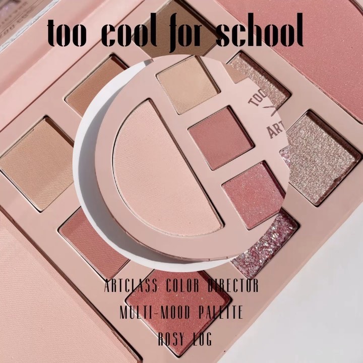 COLOR DIRECTOR/too cool for school/アイシャドウパレットの動画クチコミ3つ目