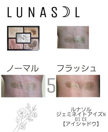 ジェミネイトアイズ N/LUNASOL/アイシャドウパレットを使ったクチコミ（4枚目）