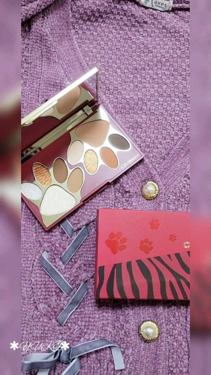 トラ十色アイシャドウパレット/COLORKEY/アイシャドウパレットの人気ショート動画