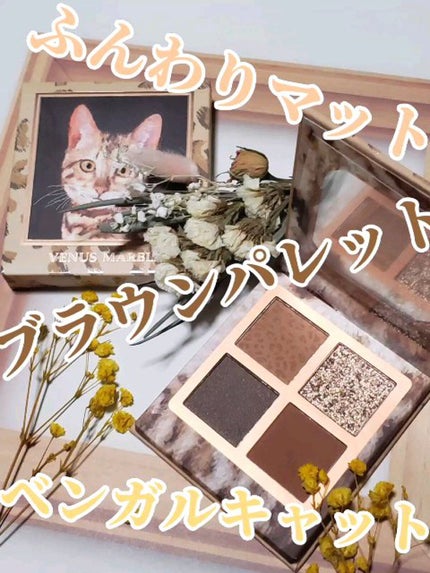 Venus Marble アイシャドウキャットシリーズ/Venus Marble/アイシャドウパレットの人気ショート動画