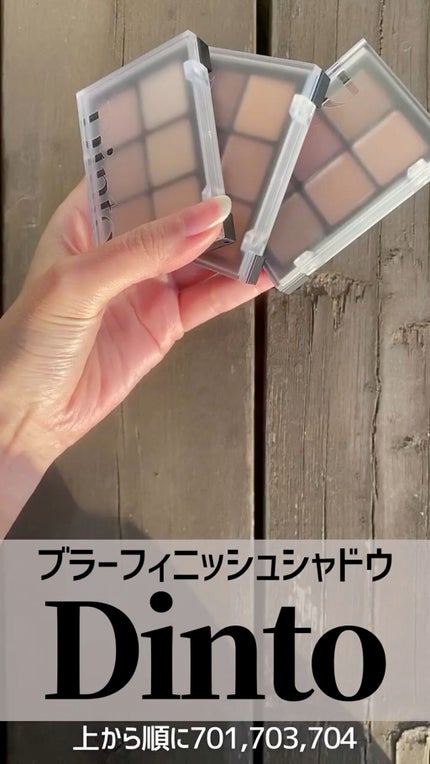 ブラーフィニシュシャドウパレット/Dinto/アイシャドウパレットの人気ショート動画