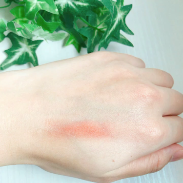 プードゥル ア レーヴル/CHANEL/口紅を使ったクチコミ(3枚目)