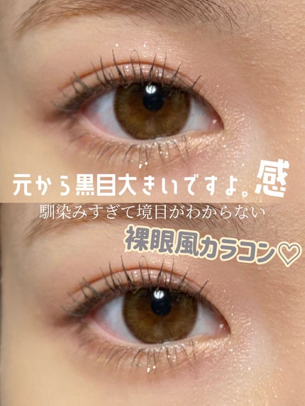 アンジョルノ/en Giorno/カラーコンタクトレンズの人気ショート動画