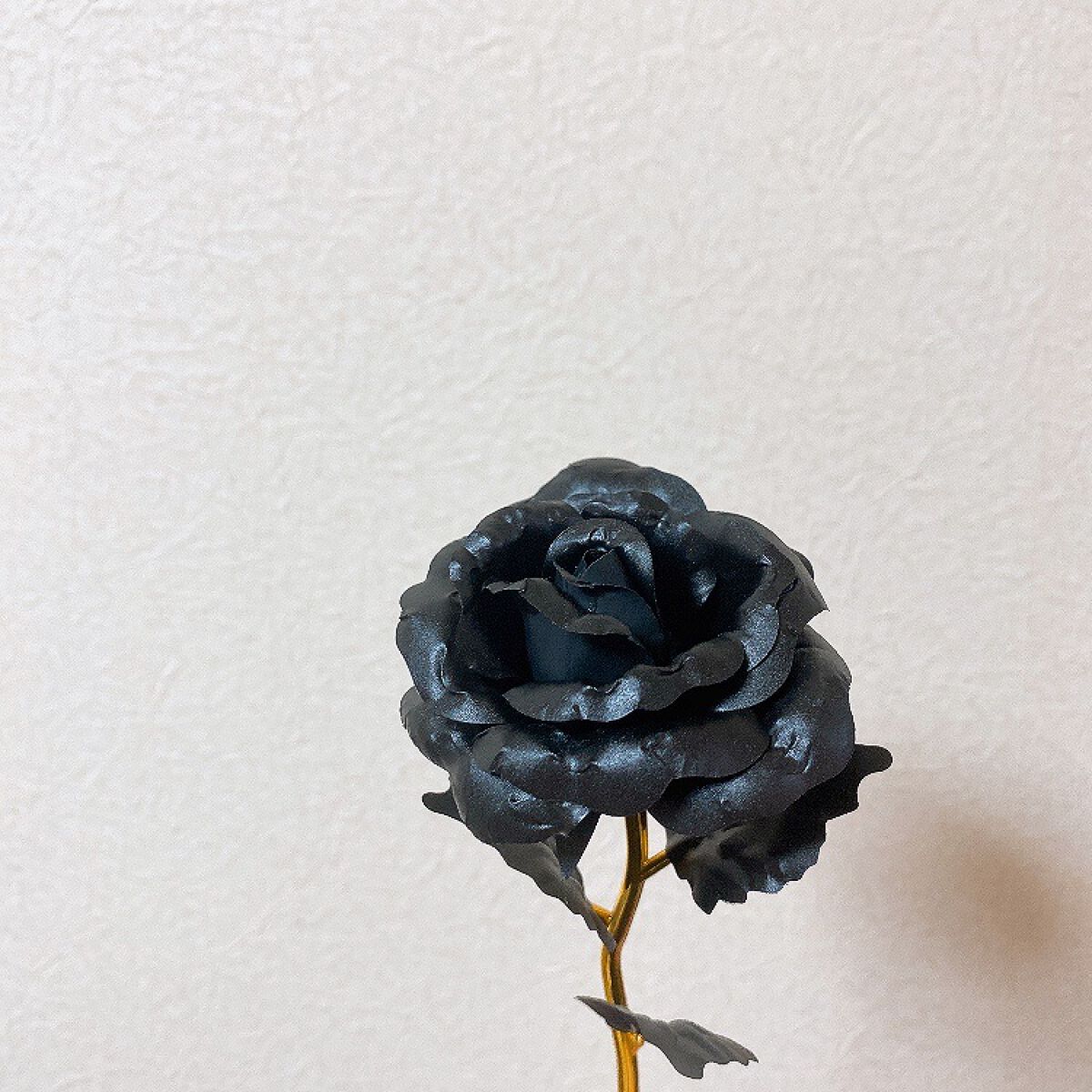 シックローズ/キャンドゥ/その他の動画クチコミ2つ目