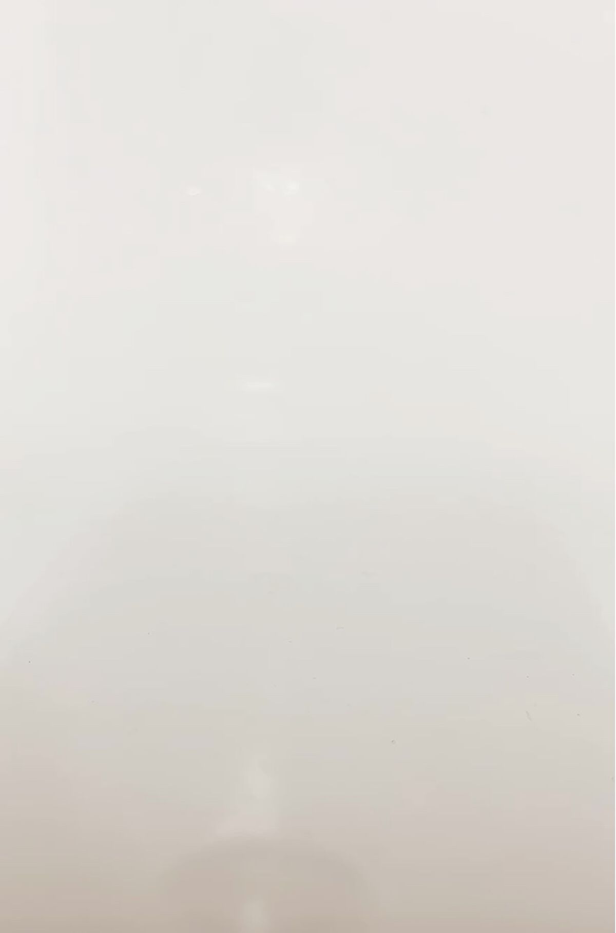 ミノン アミノモイスト ジェントルウォッシュ ホイップ/ミノン/泡洗顔を使ったクチコミ（2枚目）