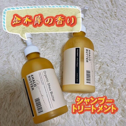 モイスト&リペア シャンプー&ヘアトリートメント 限定セット キンモクセイの香り/AHALO BUTTER/シャンプー・コンディショナーの人気ショート動画