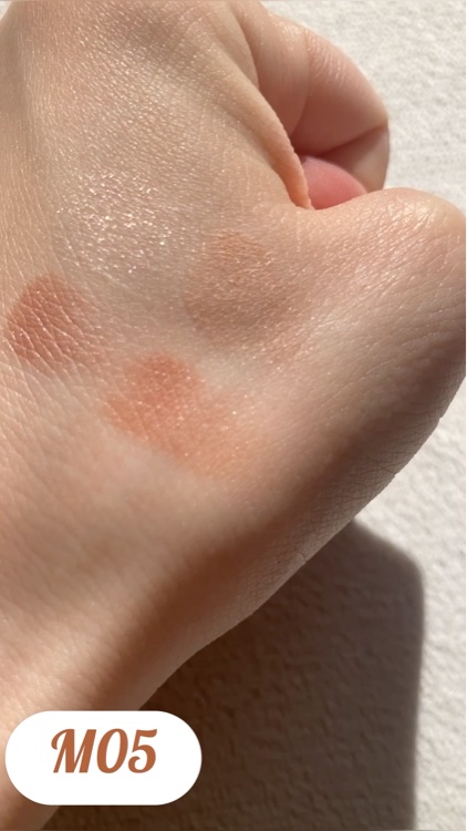 シルキースフレアイズ（マットタイプ）/キャンメイク/アイシャドウパレットを使ったクチコミ（3枚目）