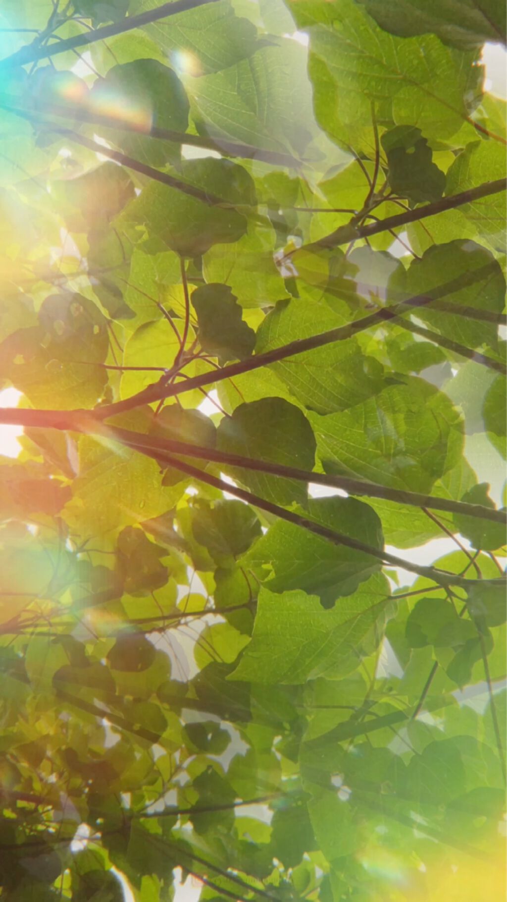 極微細泡石けん/STATE OF THE ART/洗顔石鹸の動画クチコミ4つ目