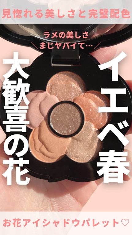 チアリー カラーズ フォー アイズ/MARY QUANT/アイシャドウパレットの人気ショート動画