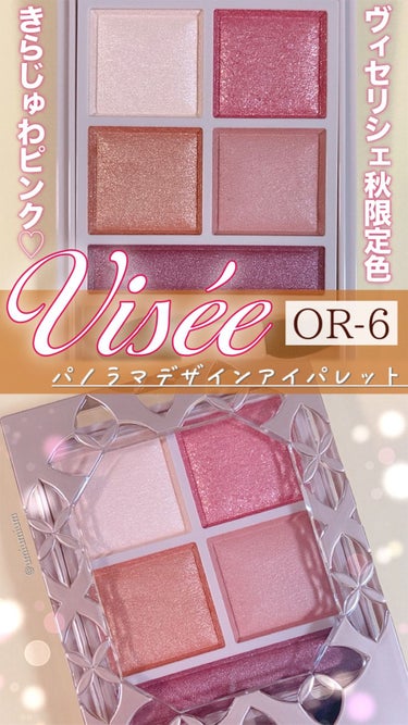 パノラマデザイン アイパレット/Visée/パウダーアイシャドウを使ったクチコミ（1枚目）