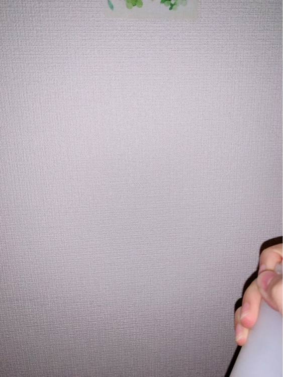 バイオームビタＣセラムミスト/UIQ/ミスト状化粧水の動画クチコミ4つ目