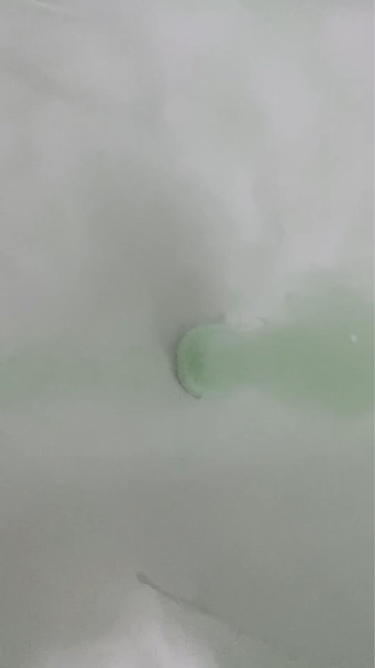 バブ 至福の森めぐり浴/バブ/炭酸系入浴剤の動画クチコミ3つ目