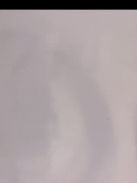 FLORTTE × MIKKO FALSE EYELASHES /FLORTTE/つけまつげの動画クチコミ4つ目