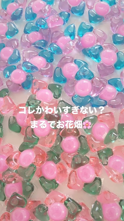 アモーレ ランドリーボール/arFUM/洗濯洗剤の人気ショート動画