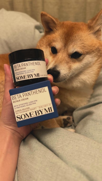 ベタ-パンテノールクリーム/SOME BY MI/フェイスクリームの人気ショート動画