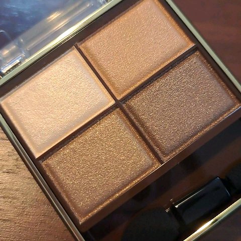 スキニーリッチシャドウ SR02 リアルブラウン/excel/アイシャドウパレットを使ったクチコミ（3枚目）