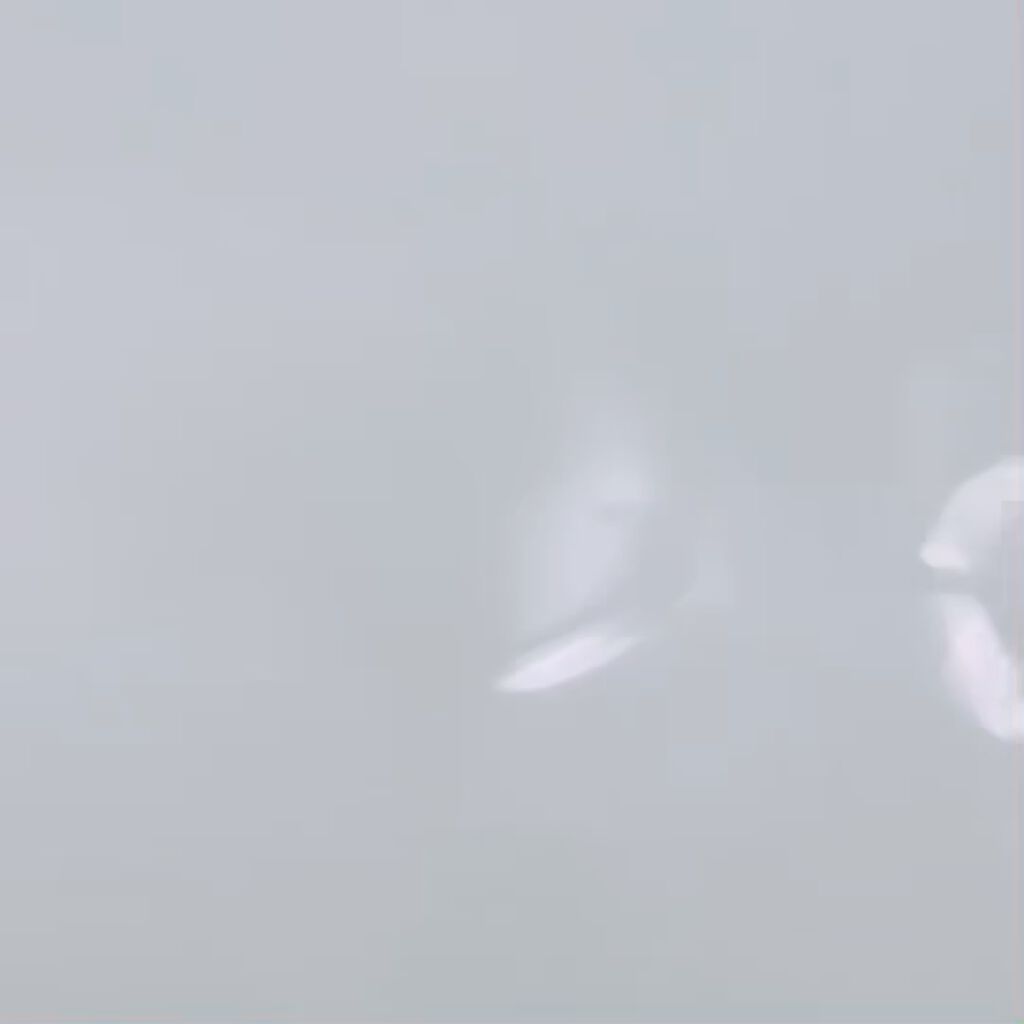 バスロマン プレミアム モイストスキンケア/バスロマン/保湿系入浴剤を使ったクチコミ（2枚目）