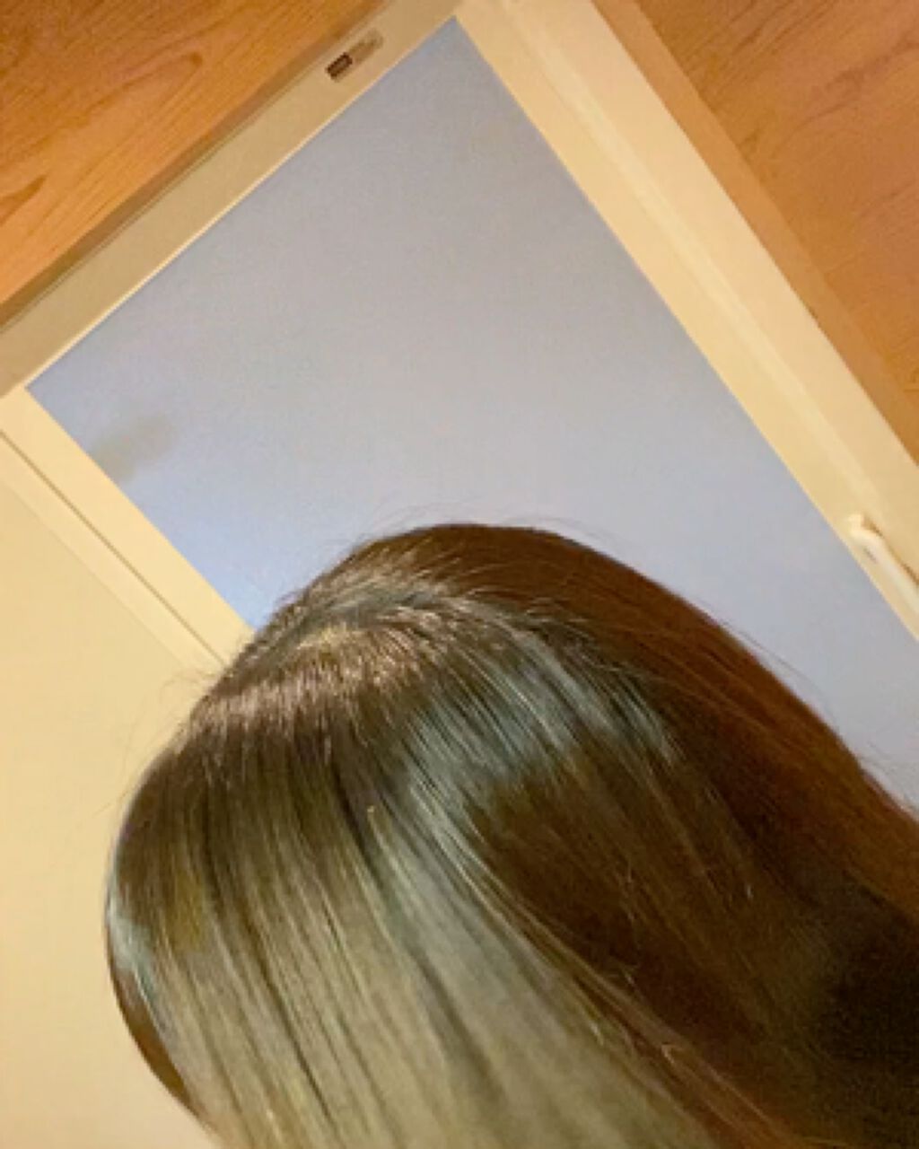 オージュア イミュライズ シャンプー/ヘアトリートメントのクチコミ「とりあえず動画を見てほしい。

ハイライト入れてインナーも入れてるので所々縮れてる髪はあるもの.....」（2枚目）