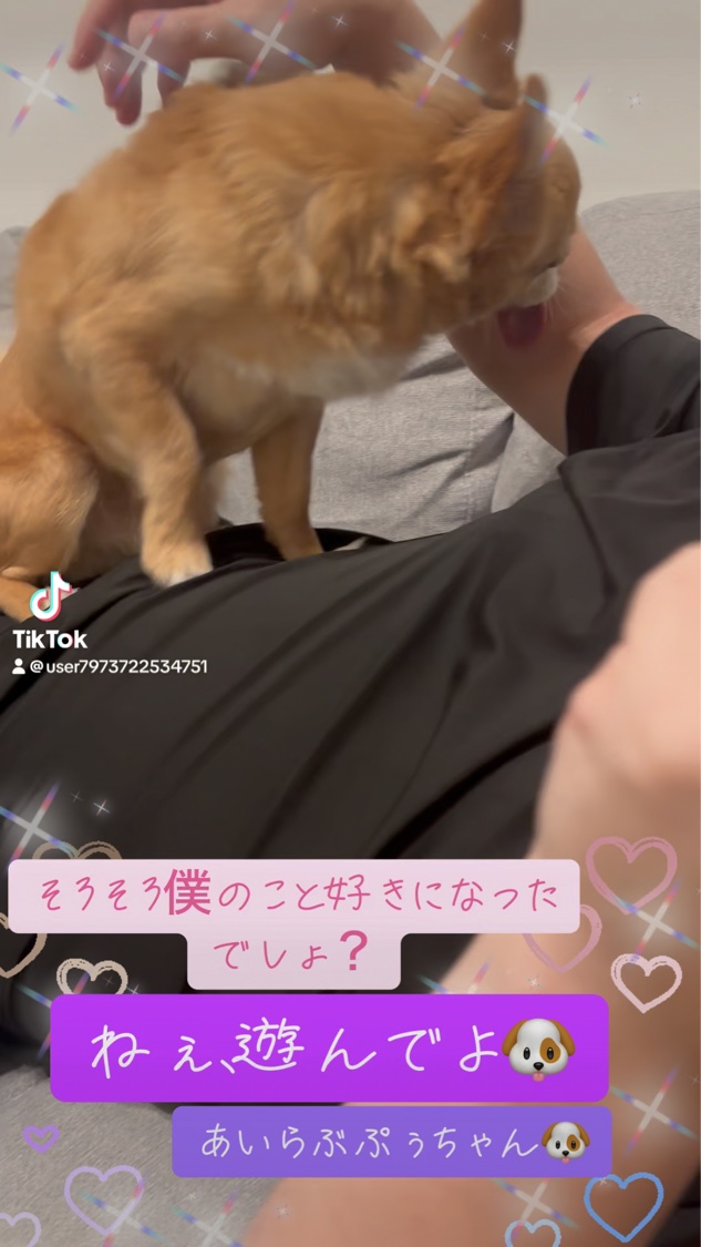 ヤミーカスタード（ボディウォッシュ）/ラッシュ/ボディソープの動画クチコミ2つ目