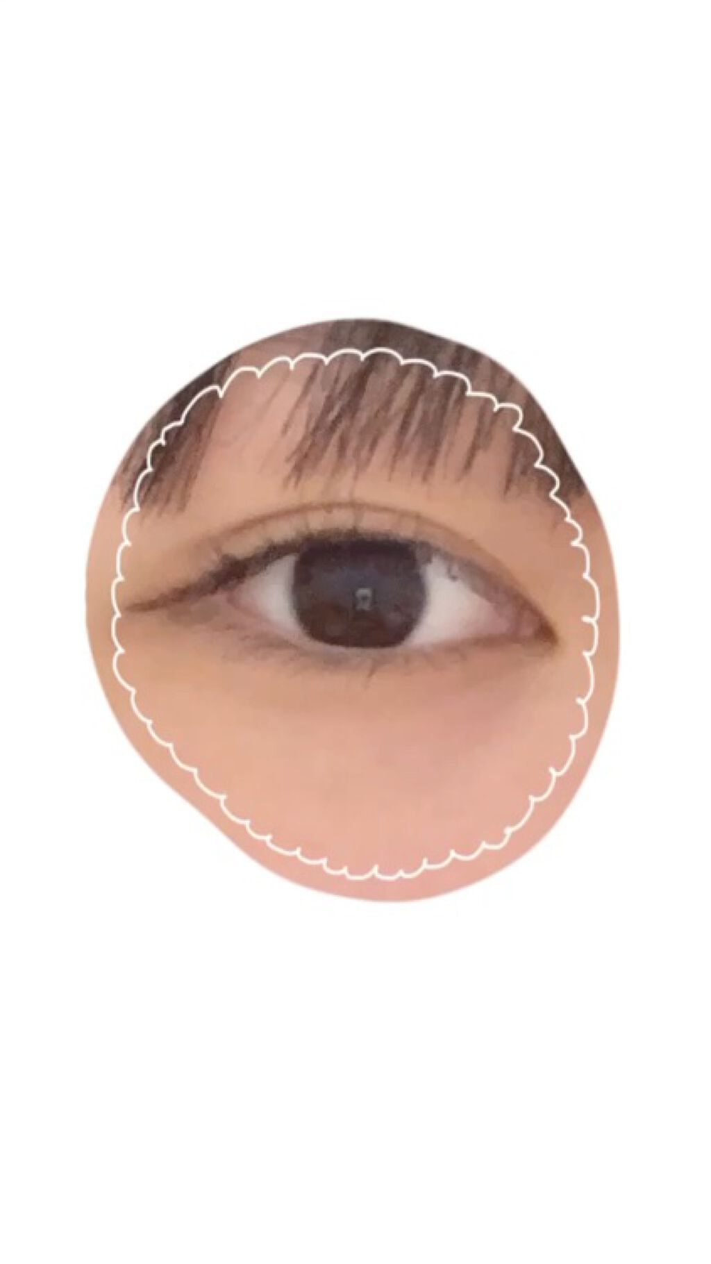 クイックラッシュカーラー/キャンメイク/マスカラ下地を使ったクチコミ（2枚目）