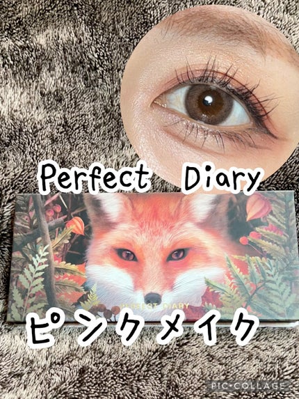 エクスプローラ12色 動物アイシャドウパレット/PERFECT DIARY/アイシャドウパレットの人気ショート動画