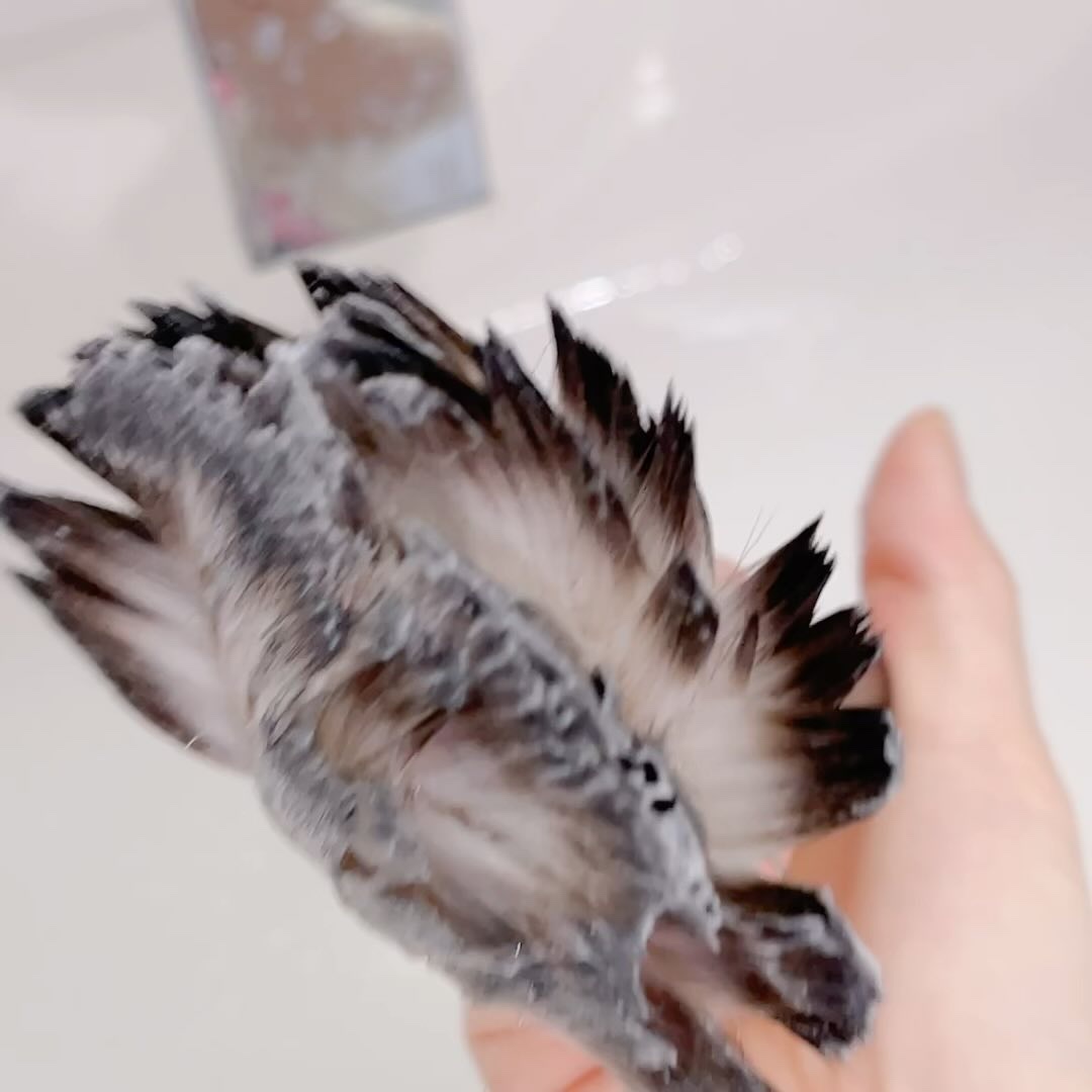 brush cleansing soap/PICCASSO/その他化粧小物を使ったクチコミ（3枚目）