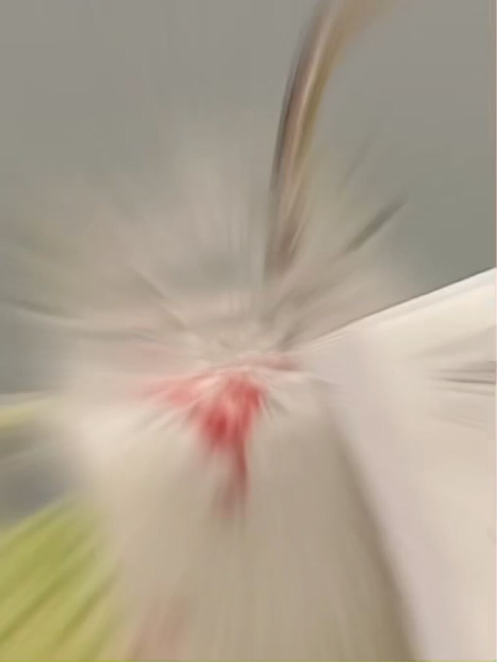 スミグルト/スミグルト/スムージーを使ったクチコミ（2枚目）