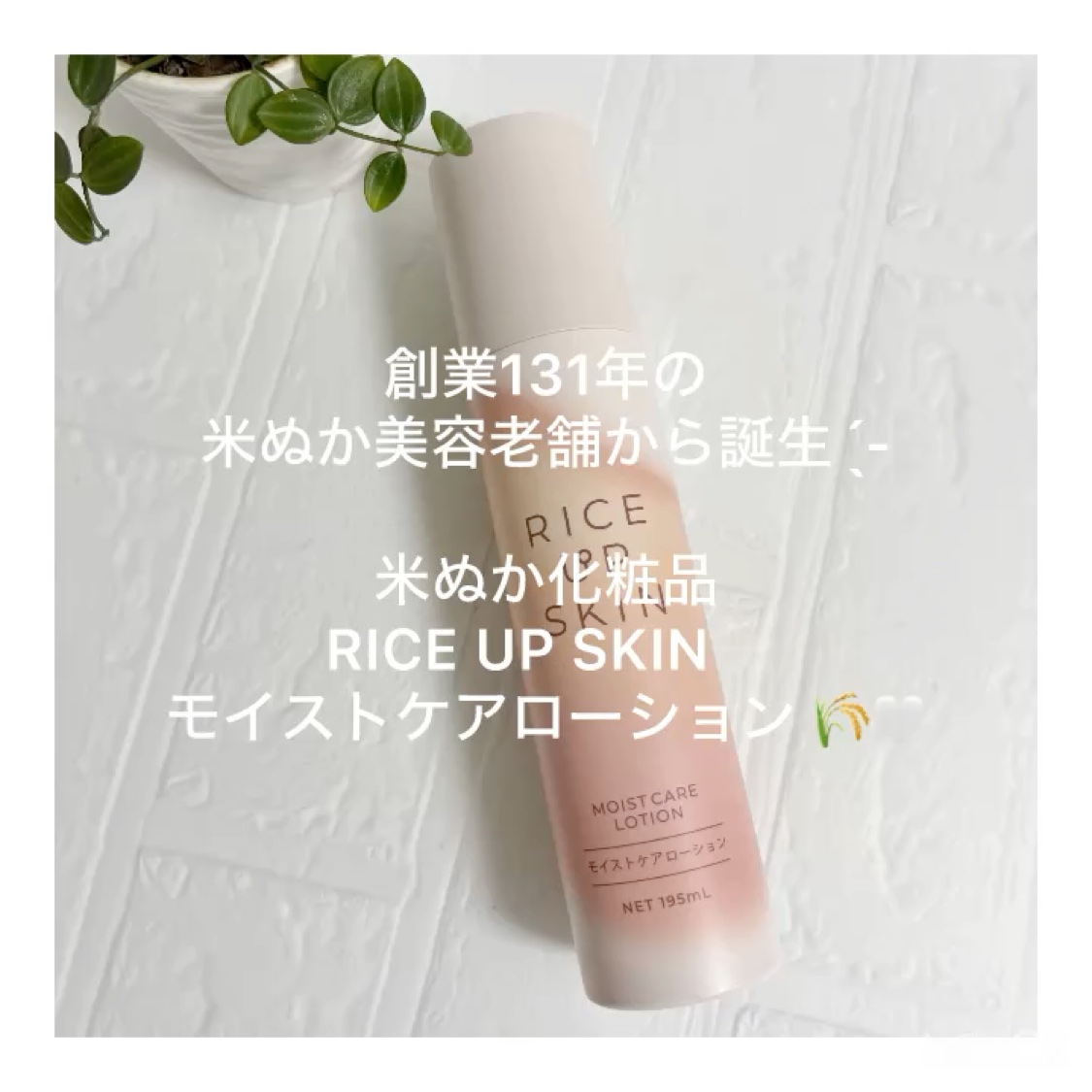 RICE UP SKIN モイストケアローション/リアル/化粧水を使ったクチコミ（1枚目）