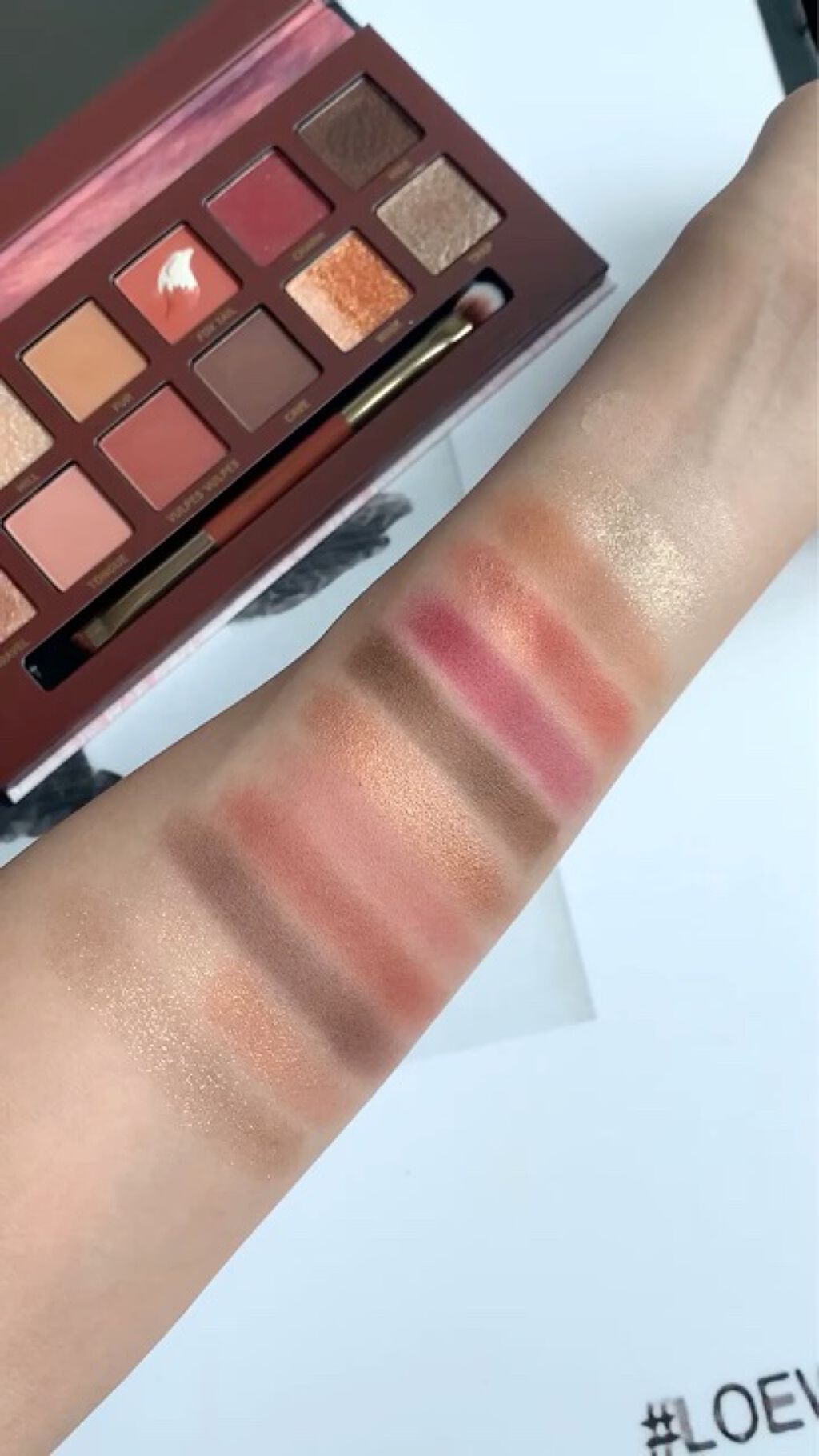 エクスプローラ12色 動物アイシャドウパレット/PERFECT DIARY/アイシャドウパレットを使ったクチコミ（3枚目）