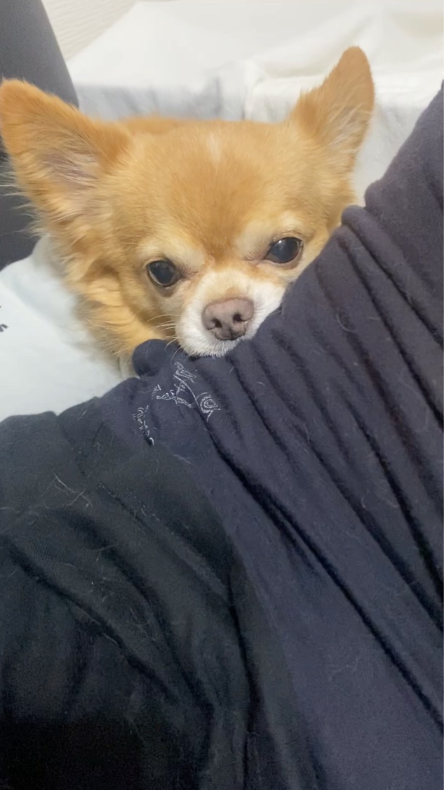 プレミアムフェイスマスク/norm+/シートマスク・パックの動画クチコミ1つ目