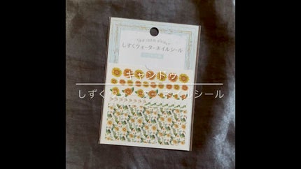 しずくウォーターネイルシール/キャンドゥ/ネイルシールの人気ショート動画