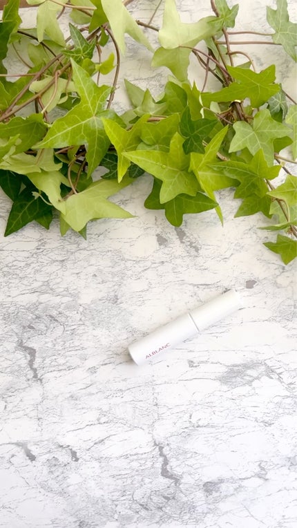 クラリティブラン サーフェイサー/ALBLANC/化粧下地を使ったクチコミ(2枚目)