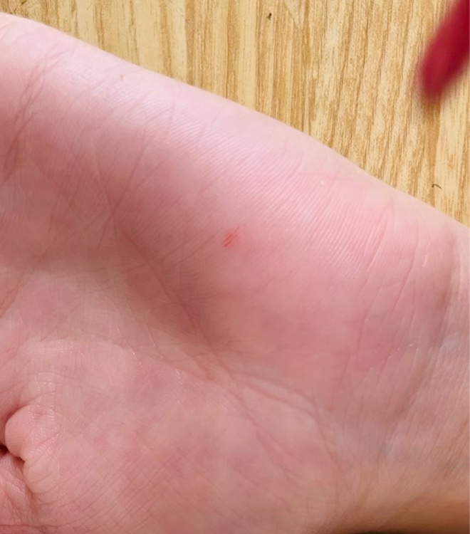 を使ったクチコミ（1枚目）