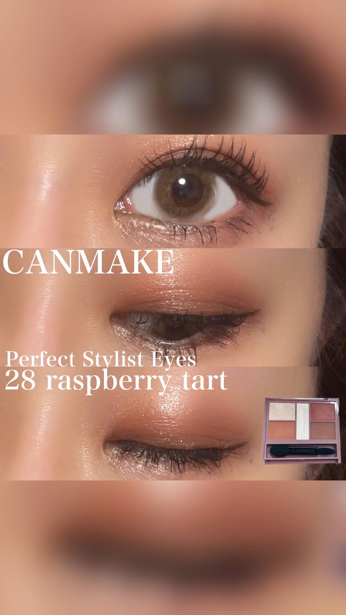 Angelcolor Bambi Series Vintage 1day/AngelColor/ワンデー（１DAY）カラコンの人気ショート動画