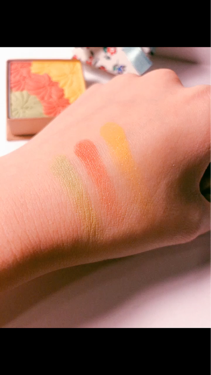 アイカラーCS/PAUL & JOE BEAUTE/アイシャドウパレットの動画クチコミ2つ目