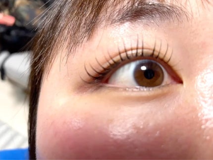 ラッシュアディクト アイラッシュコンディショニングセラム/soaddicted/まつげ美容液の人気ショート動画