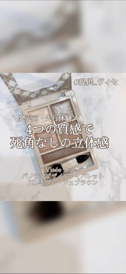 パノラマデザイン アイパレット/Visée/アイシャドウパレットを使ったクチコミ(1枚目)
