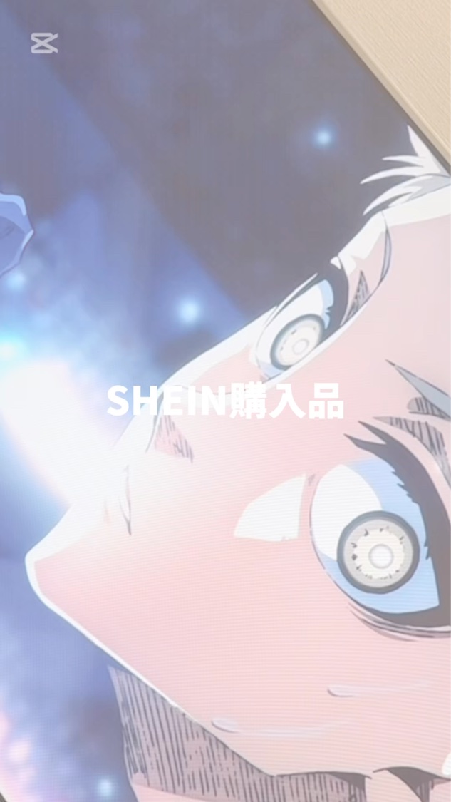 ヘアクリップ/SHEIN/その他を使ったクチコミ（1枚目）