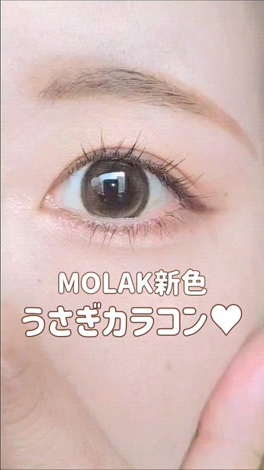 MOLAK 1day/MOLAK/ワンデー（１DAY）カラコンの動画クチコミ2つ目