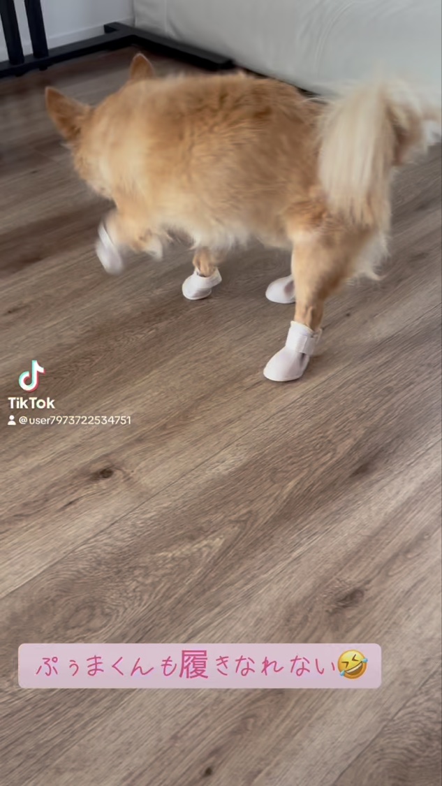 ハンドクリーム＆マルチクリーム/MEICA/ボディクリームの動画クチコミ2つ目