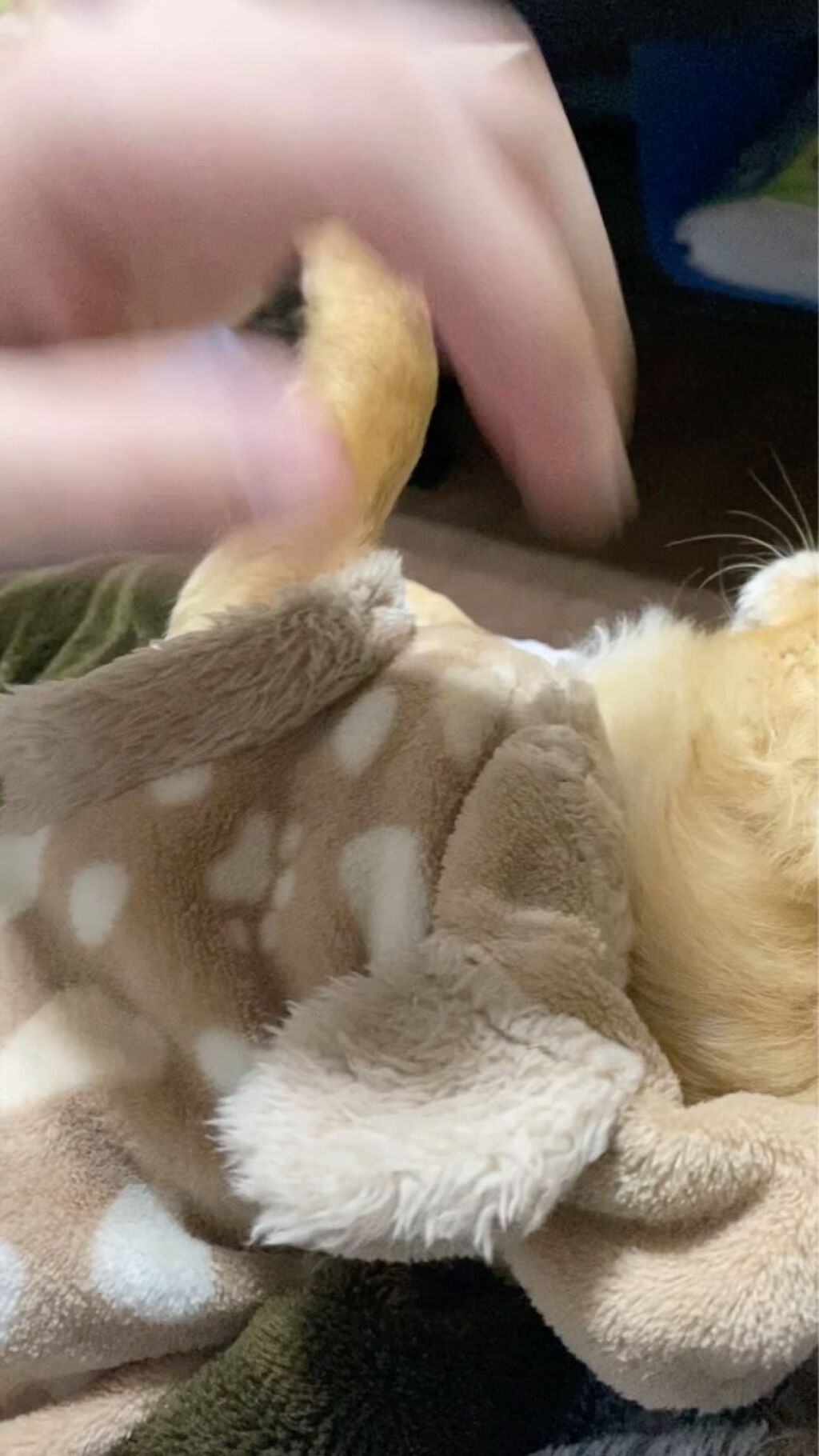 コール・クチュール・ウォータープルーフ/GIVENCHY/ペンシルアイライナーの動画クチコミ1つ目