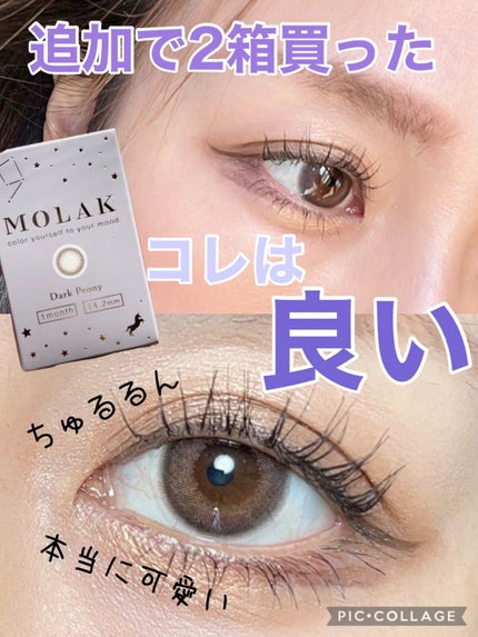 MOLAK 1month/MOLAK/1ヶ月(1MONTH)カラコンの人気ショート動画