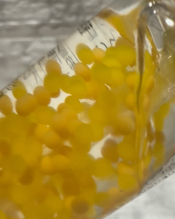 CPセラム PV 美容液/カプセルセラム/美容液の動画クチコミ2つ目