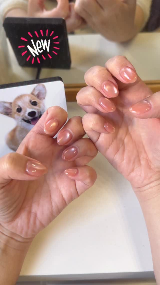 の動画クチコミ4つ目