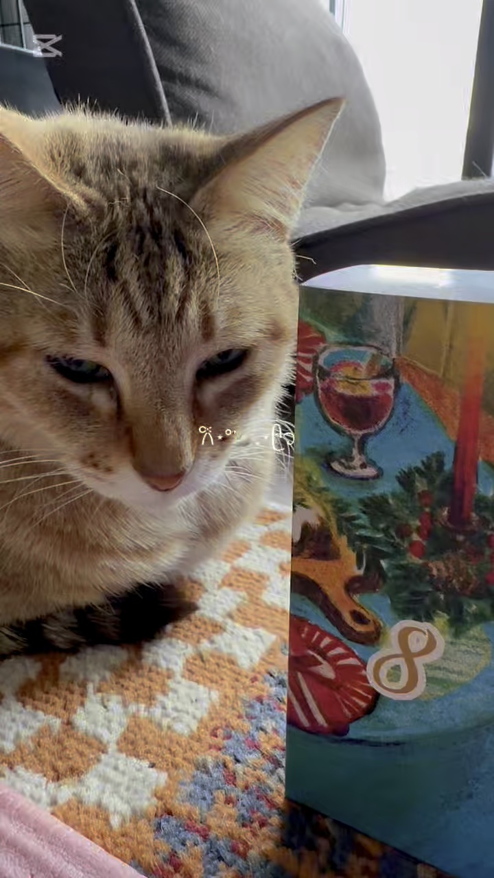 ポール&ジョーアドベントカレンダー2025/PAUL & JOE BEAUTE/メイクアップキットを使ったクチコミ（1枚目）