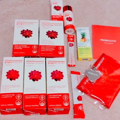 FOODOLOGY

#コレオロジー
1箱（60錠）

#コレオロジーティーPRO
15本×2箱

#コレオロジーカットゼリー
10本入り×3箱


GIFTとして
#パインオロジー酵素
3本

•ポーチ   •キーホルダー

12月のメガ