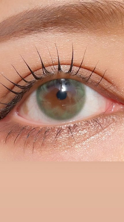 Devoted Kristin/Hapa kristin/カラーコンタクトレンズを使ったクチコミ(1枚目)